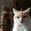 Gary & Klausi - @gary.liebt.klausi - TikTok