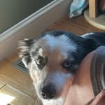 Gary Klenke - @klenkegary - Instagram