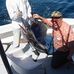 Gary Klingenberg - Facebook