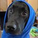 Gary Klingler - Facebook