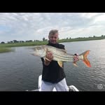 Gary Knibbs - @gary_knibbs_in_sa - Instagram