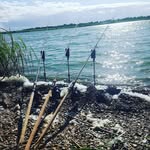 Gary Knott - @gary_the_nod - Instagram