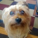 Gary Knotts - @garyknotts - Instagram
