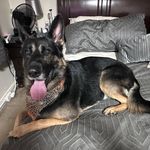 Gary Todd Knudsen - @garytoddknudsen - Instagram