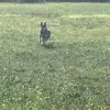 garyknutsen - @garyknutsen - TikTok