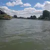 Knut 💪🏽 - @knutgary - TikTok