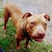 Gary J Kovach - Facebook