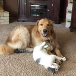 @garykovach85 - Instagram