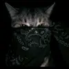 GaryKozlowski - @garykozlowski6 - TikTok