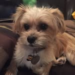 Gary Krebs - @garykstyle - Instagram