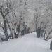 Garry Kreye - Facebook