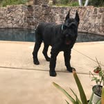 Gary Krueger - @garykrueger30 - Instagram