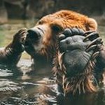 Gary LaCasse - @lacassegary - Instagram