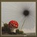 Gary Laduke - Facebook
