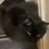 Gary Lafond - @gary.lafond - TikTok