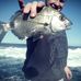 Gary Laing - Facebook