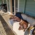 Gary Laing - Facebook