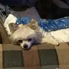 Gary Laird - @gary.laird8 - TikTok