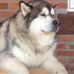 Gary Lakeman - Facebook