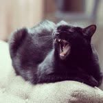 Gary LaKind - @garylakind - Instagram