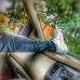 Gary Lamar - Facebook