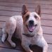 Gary Lambdin - Facebook