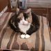 Gary John Lammin - Facebook