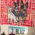 Gary Dean Landreth - Facebook