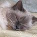 Gary Langhoff - Facebook