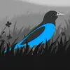 Garylang - @garyland12 - TikTok