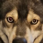 Gary Lankey - @cronus43 - Instagram