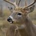 Gary Lane - Facebook