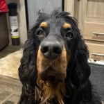 Gary Lansman - @glanz8332ia - Instagram