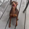 Gary Lanton - @fortnite92761 - TikTok