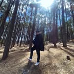 Gary Laynes - @laynesgary - Instagram