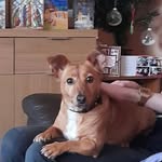Gary Leighton - @gary.leighton.338 - Instagram