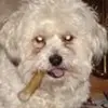 Gary Leone - @gary.leone2 - TikTok