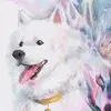 goku   ultra   istinto._.4k  g - @garyleonelzegarra6 - TikTok
