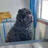 lindagarygauthierlessard - @lindagarygauthierlessard - TikTok