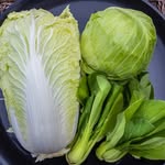 @gary__lettuce1738 - Instagram