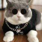 Gary Liao - @bslqy - Instagram