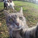 Gary Lineker - @gary_lineker76 - Instagram
