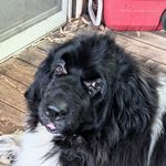 Gary Link - @d0glover - Instagram