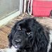 Gary Link - Facebook