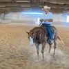 Gary - @garylister10 - TikTok