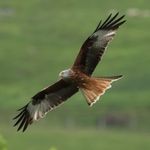 Gary Lister - @listerg40 - Instagram