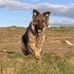 Gary Lloyd - Facebook