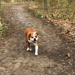 Gary Lloyd - @garylloyd54 - Instagram