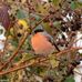 Gary lockett wildlife photography - Facebook
