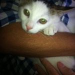 Gary Lomax - @tubbscush - Instagram